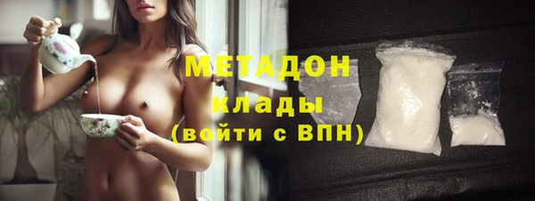 индика Заволжье