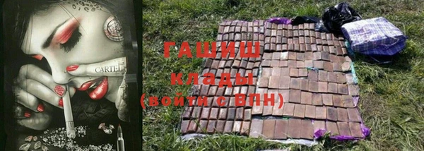 индика Заволжье