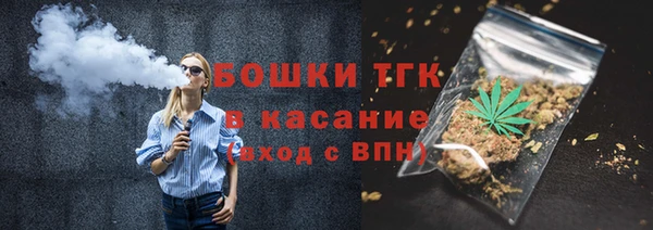 индика Заволжье