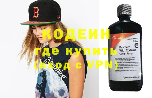 индика Заволжье