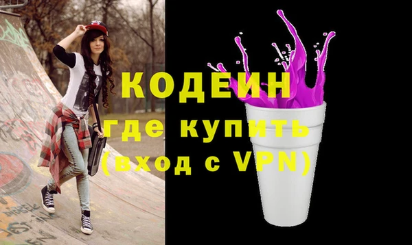 индика Заволжье