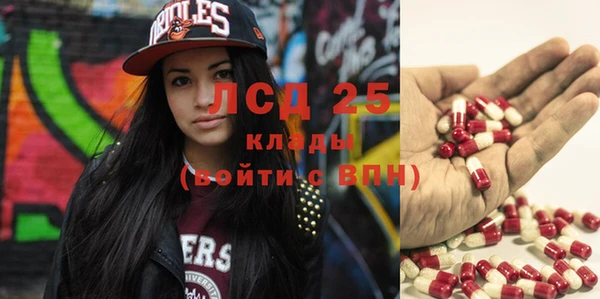 индика Заволжье