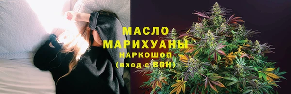 индика Заволжье